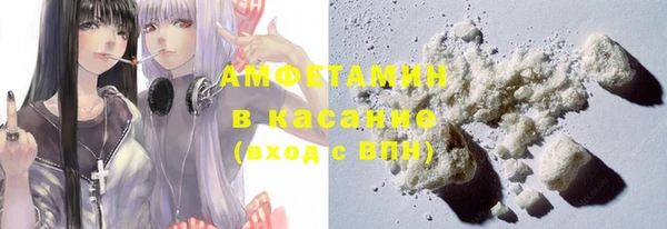 шишки Новозыбков