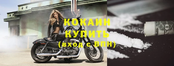 шишки Новозыбков