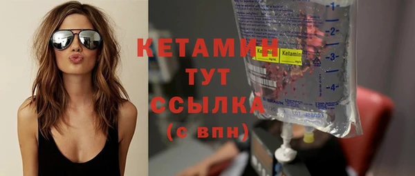шишки Новозыбков