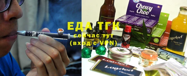 шишки Новозыбков