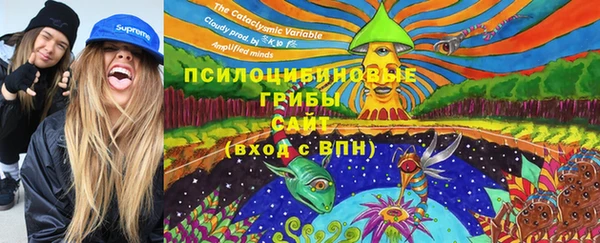 героин Няндома