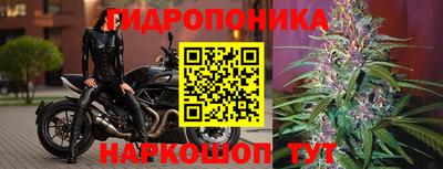 молекула духа Канаш