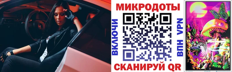Галлюциногенные грибы Psilocybine cubensis Рязань