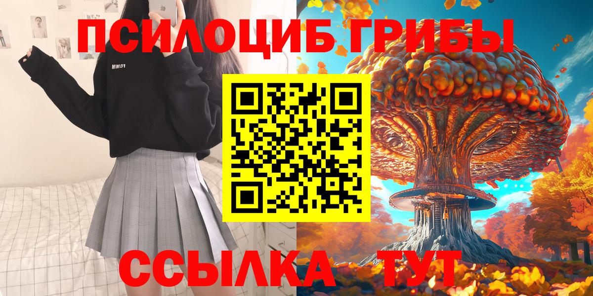 Псилоцибиновые грибы мицелий Рязань