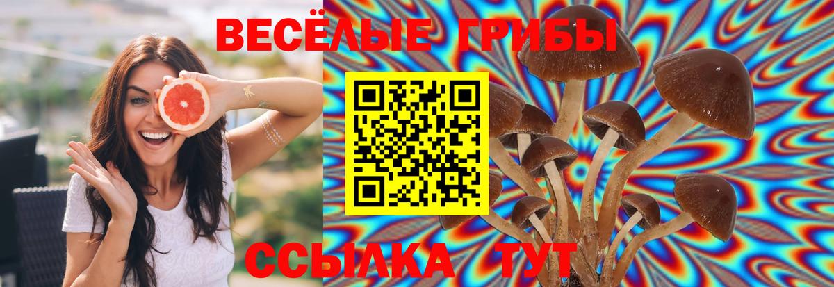 Псилоцибиновые грибы мицелий  Галлюциногенные грибы мицелий  Вход с VPN  Рязань 